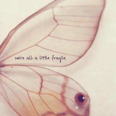 we are all a little fragile