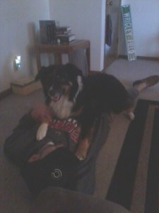 TheFixerandtheManDog