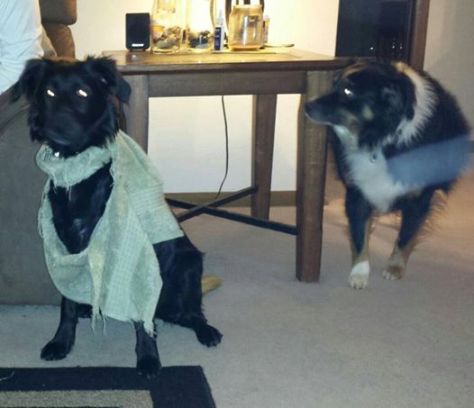 They are a SUPER team... of driving me insane.