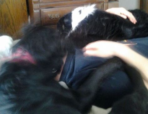 I suppose The Fixer is pretty loved...